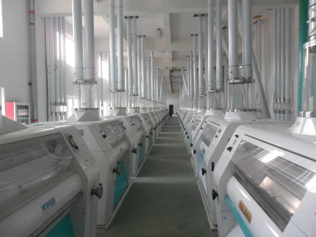 �S�^(q��)�O(sh��)��